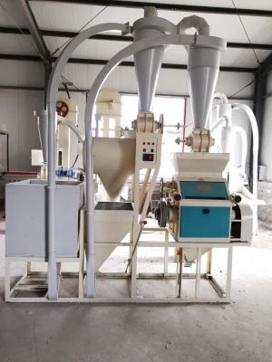 50噸-100噸 大型香蕉视频APP下载深加工成套 機組 香蕉视频APP下载脫皮製糝機